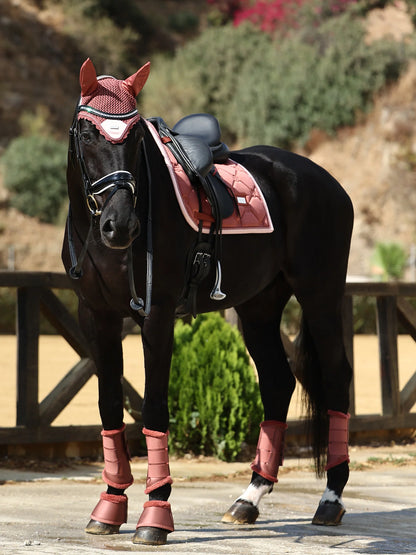 Guêtres de dressage Amber Rose - Equestrian Stockholm