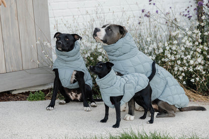 Manteau d&