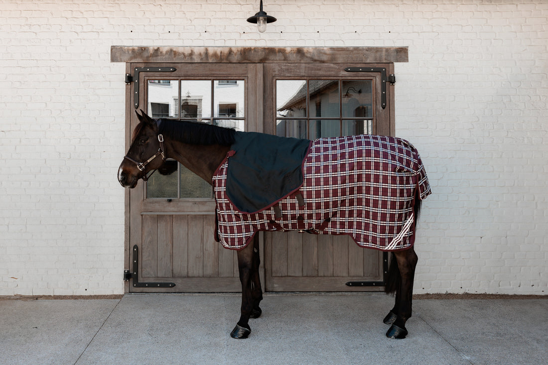 Couverture d’extérieur Imperméable All Weather Comfort 200g - Kentucky
