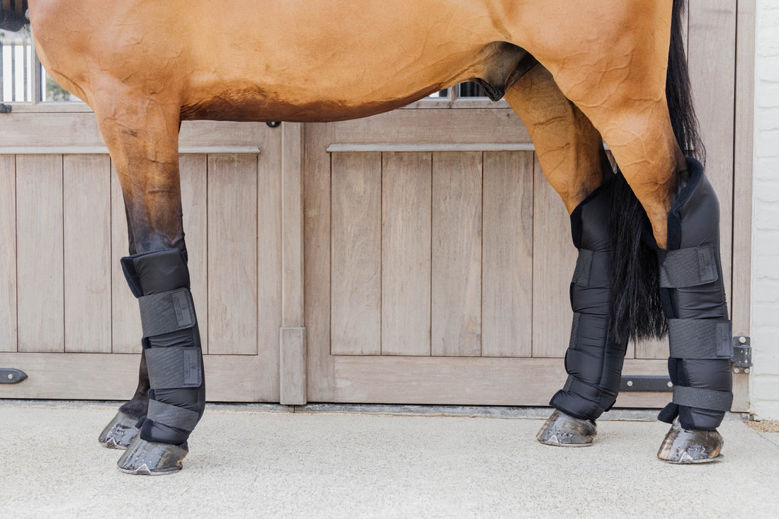 Guêtres de repos PROtect Classic - KENTUCKY