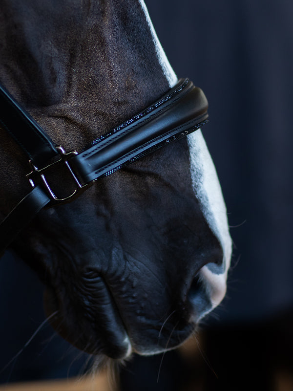 Licol en cuir anatomique Black Edition - EQUESTRIAN STOCKHOLM