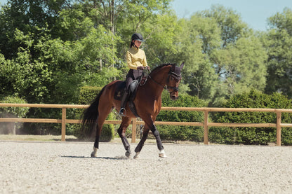 Tapis de selle BICROSS MATTGLOSS Dressage Heritage 2025 - Eskadron