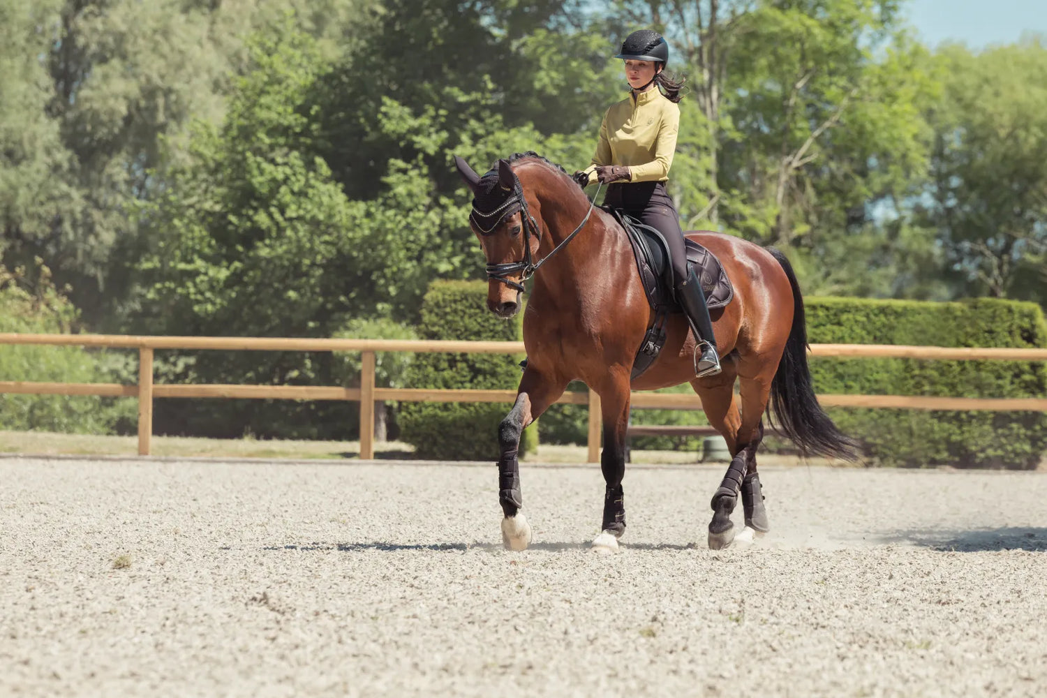 Tapis de selle BICROSS MATTGLOSS Dressage Heritage 2025 - Eskadron