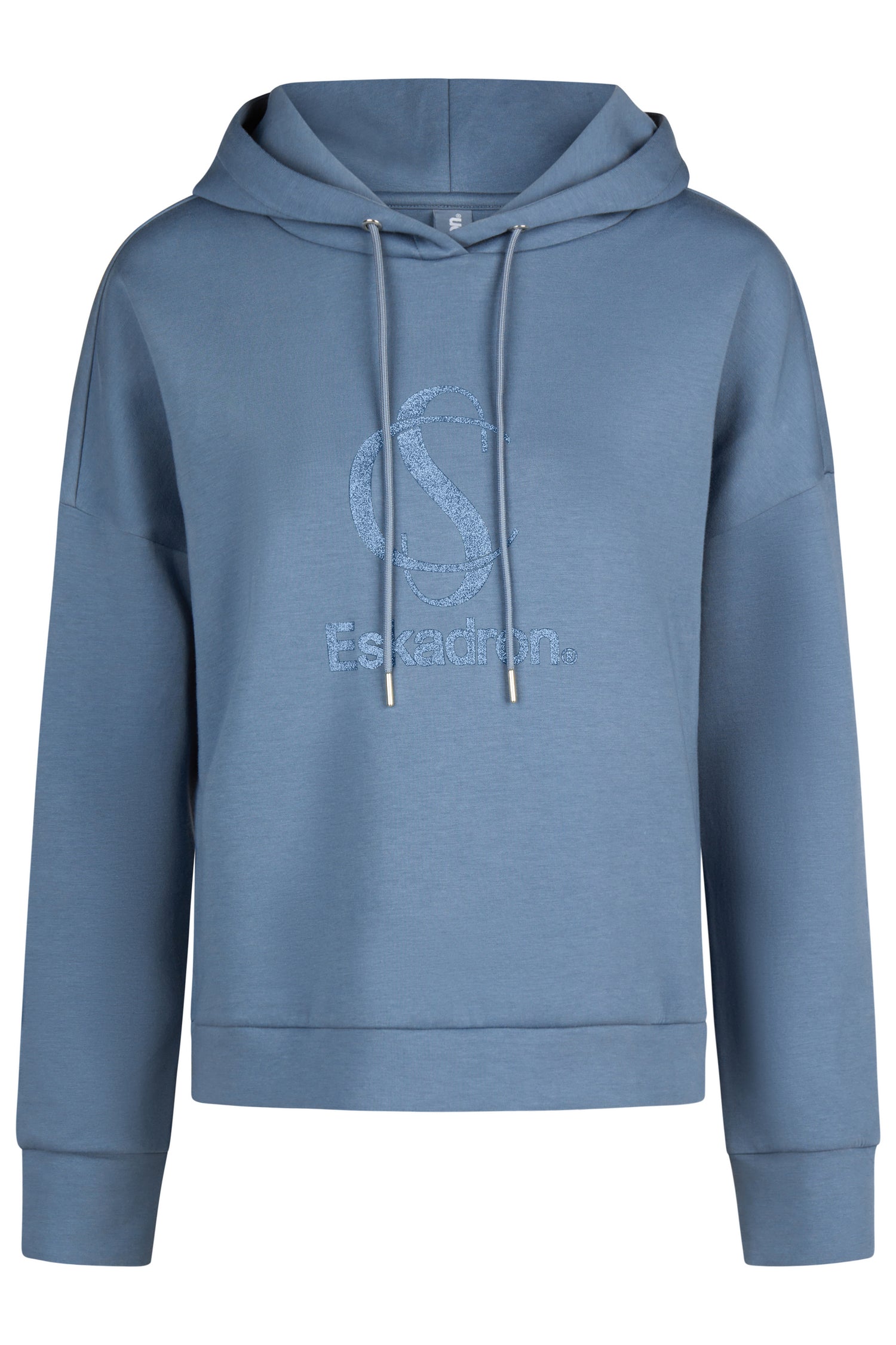 Sweat shirt Hood Classic Sports 2025 - Eskadron