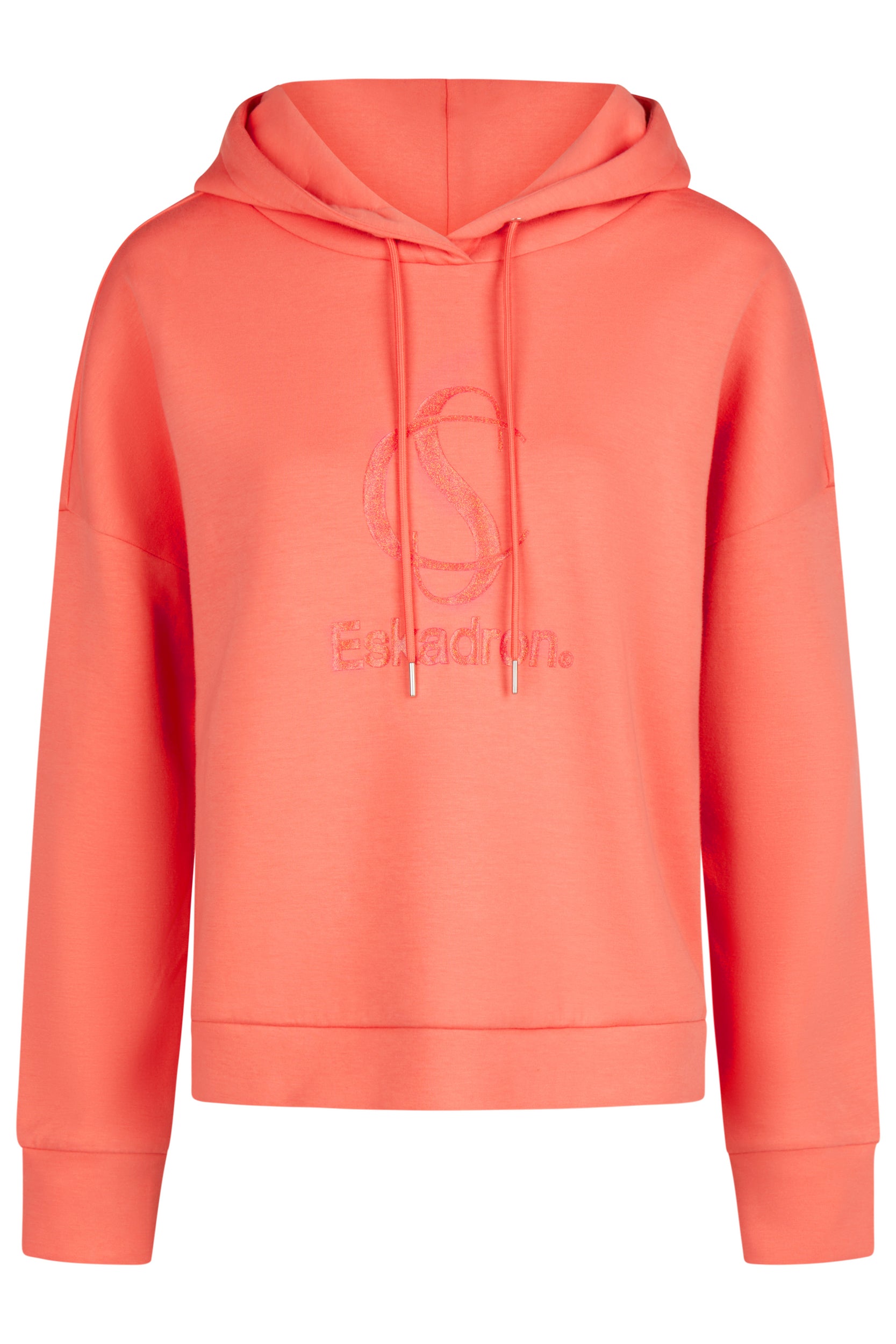 Sweat shirt Hood Classic Sports 2025 - Eskadron
