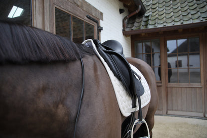 Tapis de selle Melange DRESSAGE - Kentucky