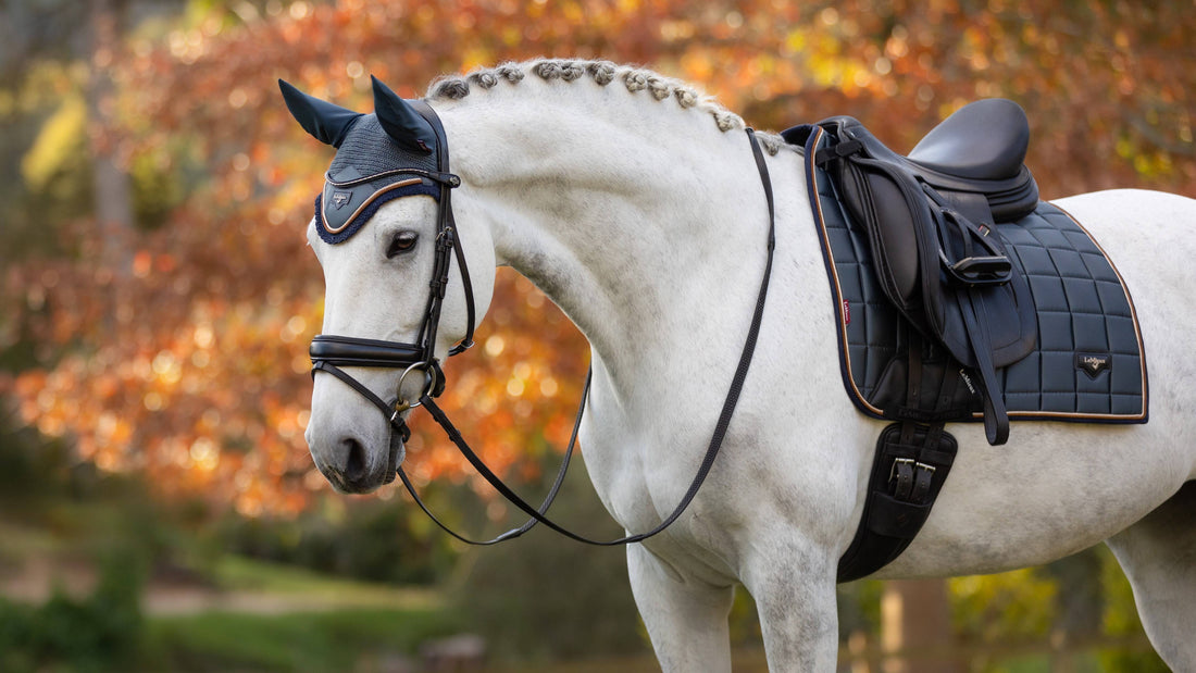 Tapis de dressage Loire Petrole - LEMIEUX
