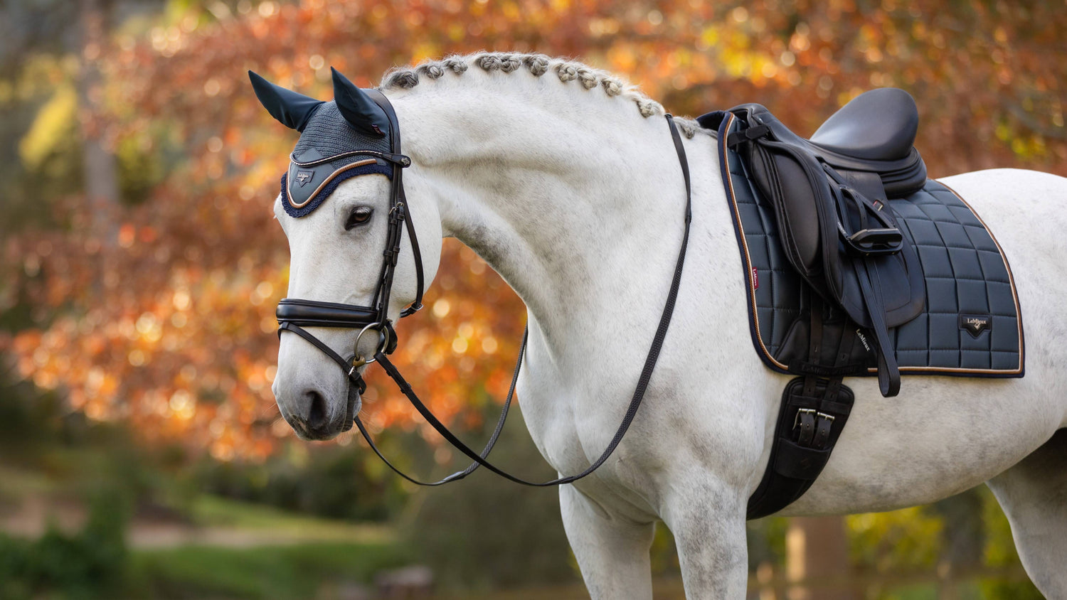 Tapis de dressage Loire Petrole - LEMIEUX