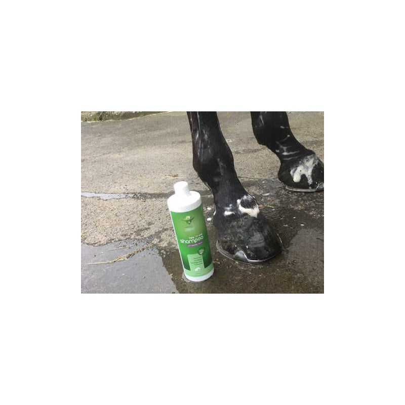 Shampoing Tea-Tree apaisant - ANIMADERM